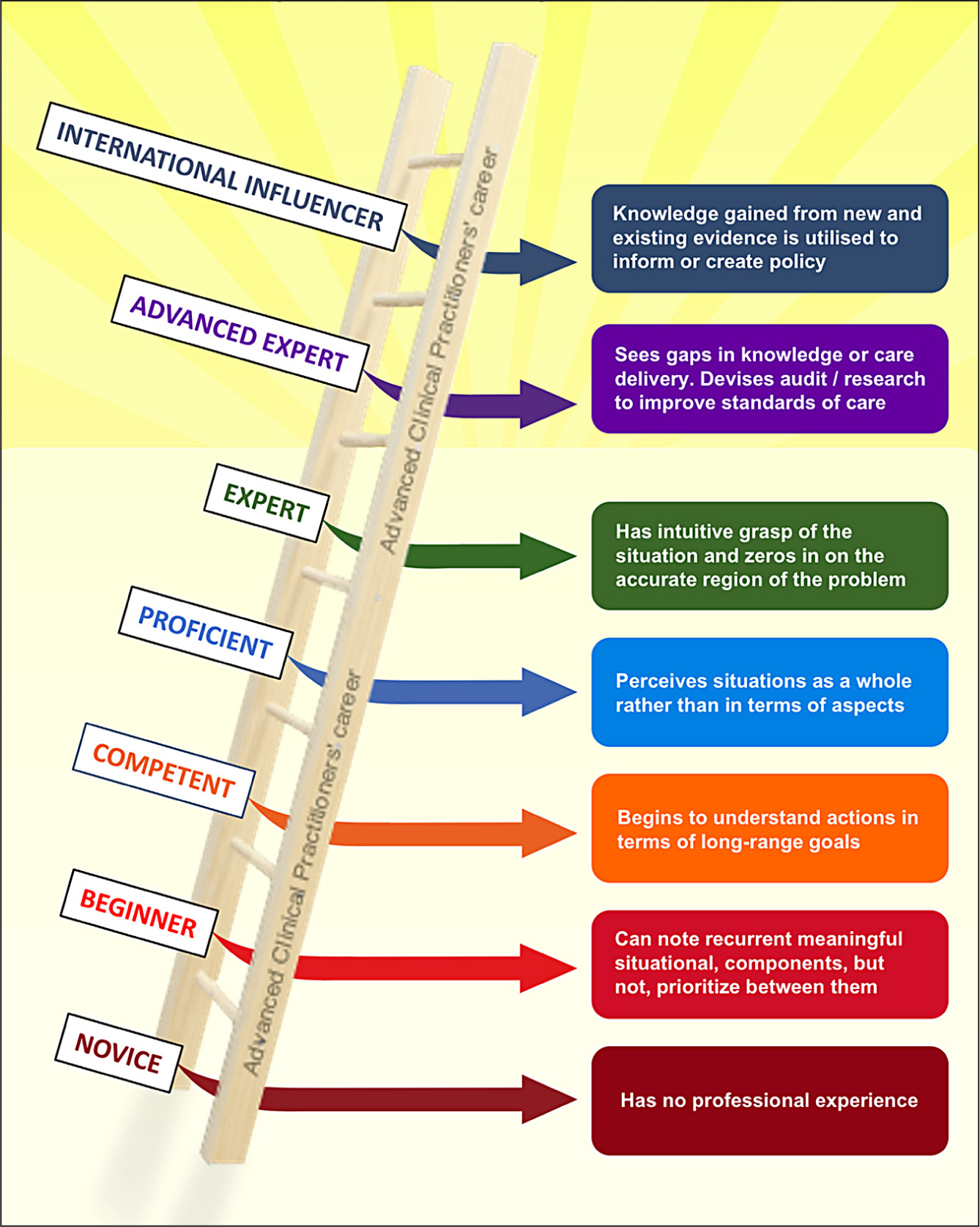 British Journal Of Nursing From Expert To Advanced Clinical 